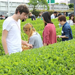 留学生の日本茶ふれあい体験4