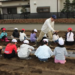 昭島市の小学校農作業学習12