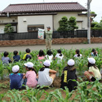 昭島市の小学校農作業学習18