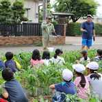 昭島市の小学校農作業学習19