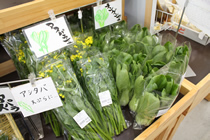 売り場に並んだ青菜の写真