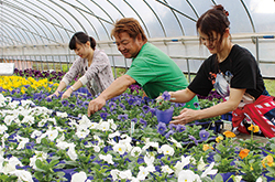 昭島市花卉園芸組合が新入職員らに営農指導