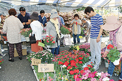 あきしま環境緑花フェスティバル