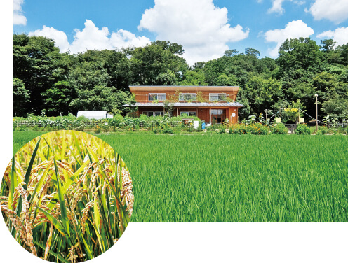 国立地区米生産部会