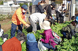 親子野菜収穫体験会を開催