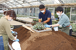 昭島市花卉園芸組合が新入職員の営農指導基礎研修を受け入れ