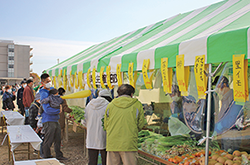 賑わう野菜販売テントの写真