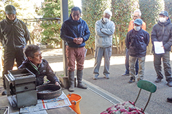 梨の花粉採取研修会の写真