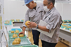 立川市果実品評会