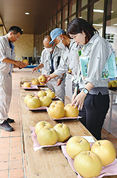 東大和市梨共進会