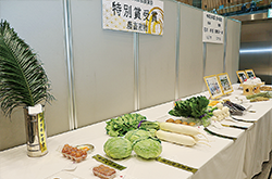 第53回東京都農業祭共進会に出品され、テーブルに並ぶ野菜