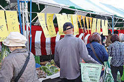 賑わう野菜販売テントの写真