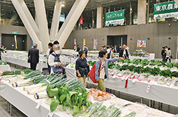 第53回東京都農業祭共進会に出品され、テーブルに並ぶ野菜