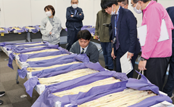 立川市うど品評会