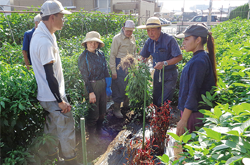 農業実践力養成セミナー