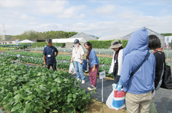 「みどりカレッジ」視察研修会