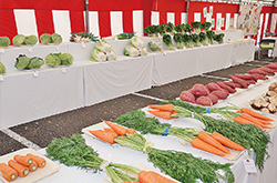 品評会に出品された野菜や果物の写真