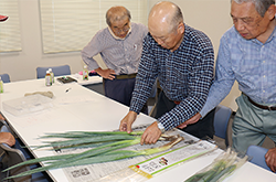 第34回ＪＡ東京大会