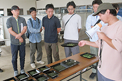 青壮年部圃場見学会