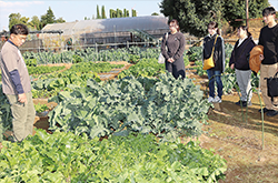 令和8年度採用内定者研修