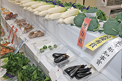品評会に出品された野菜や果物