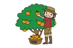 みかん狩り体験付定期積金